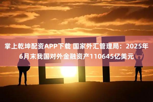 掌上乾坤配资APP下载 国家外汇管理局：2025年6月末我国对外金融资产110645亿美元